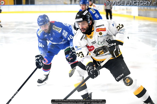 2024-09-28 Mastini Varese-Fassa Falcons 01672 Marcello Borghi